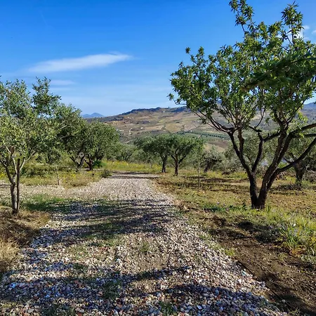 Colle Dei Rustici Ospitalita In Sicilia