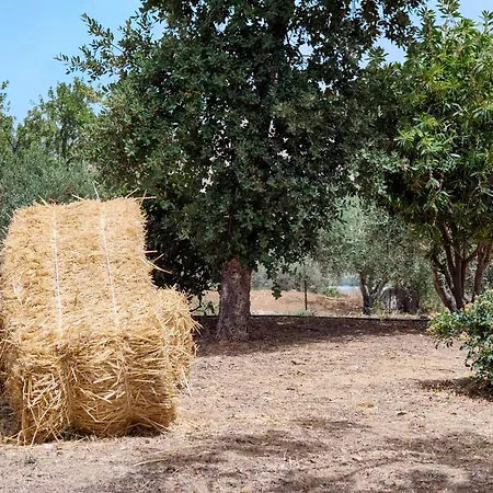 Colle Dei Rustici Ospitalita In Sicilia Holiday home Villaggio Mose (Sicily)