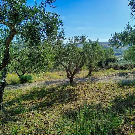 Colle Dei Rustici Ospitalita In Sicilia