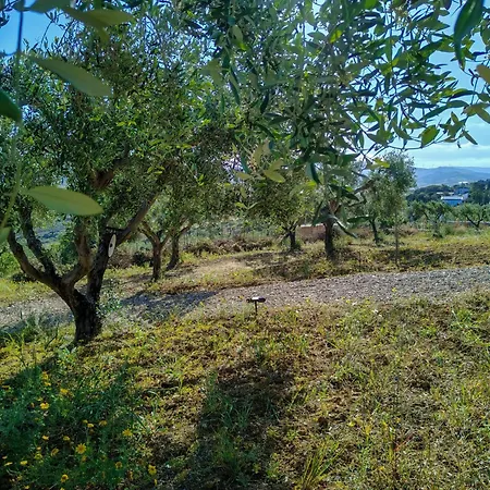Holiday home Colle Dei Rustici Ospitalita In Sicilia