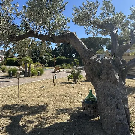 Colle Dei Rustici Ospitalita In Sicilia Holiday home *
