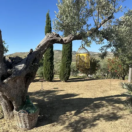 Holiday home Colle Dei Rustici Ospitalita In Sicilia *